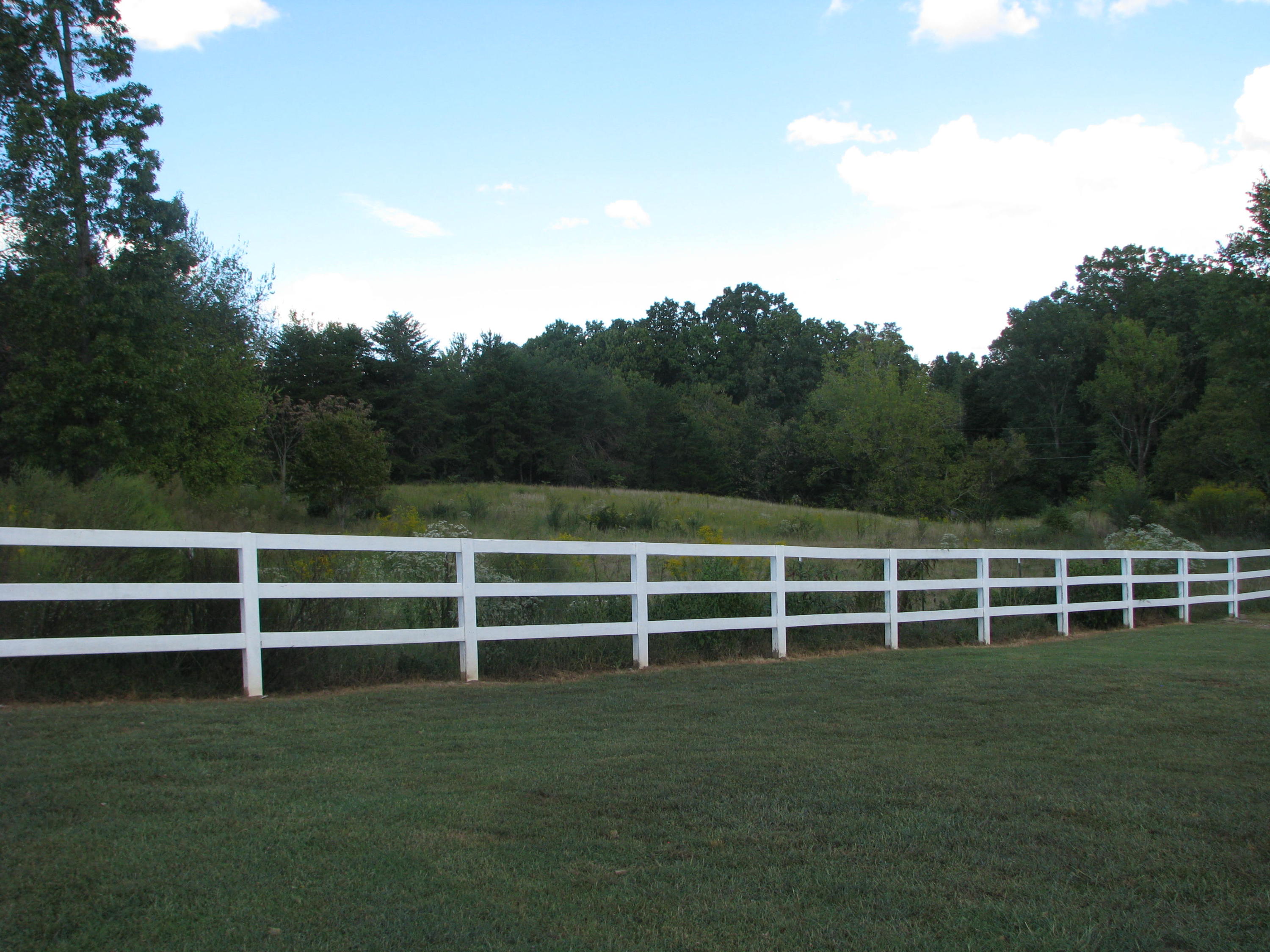 333 Ogle Road Seymour, TN 37865 - Photo 4 of 27 IMG_8864