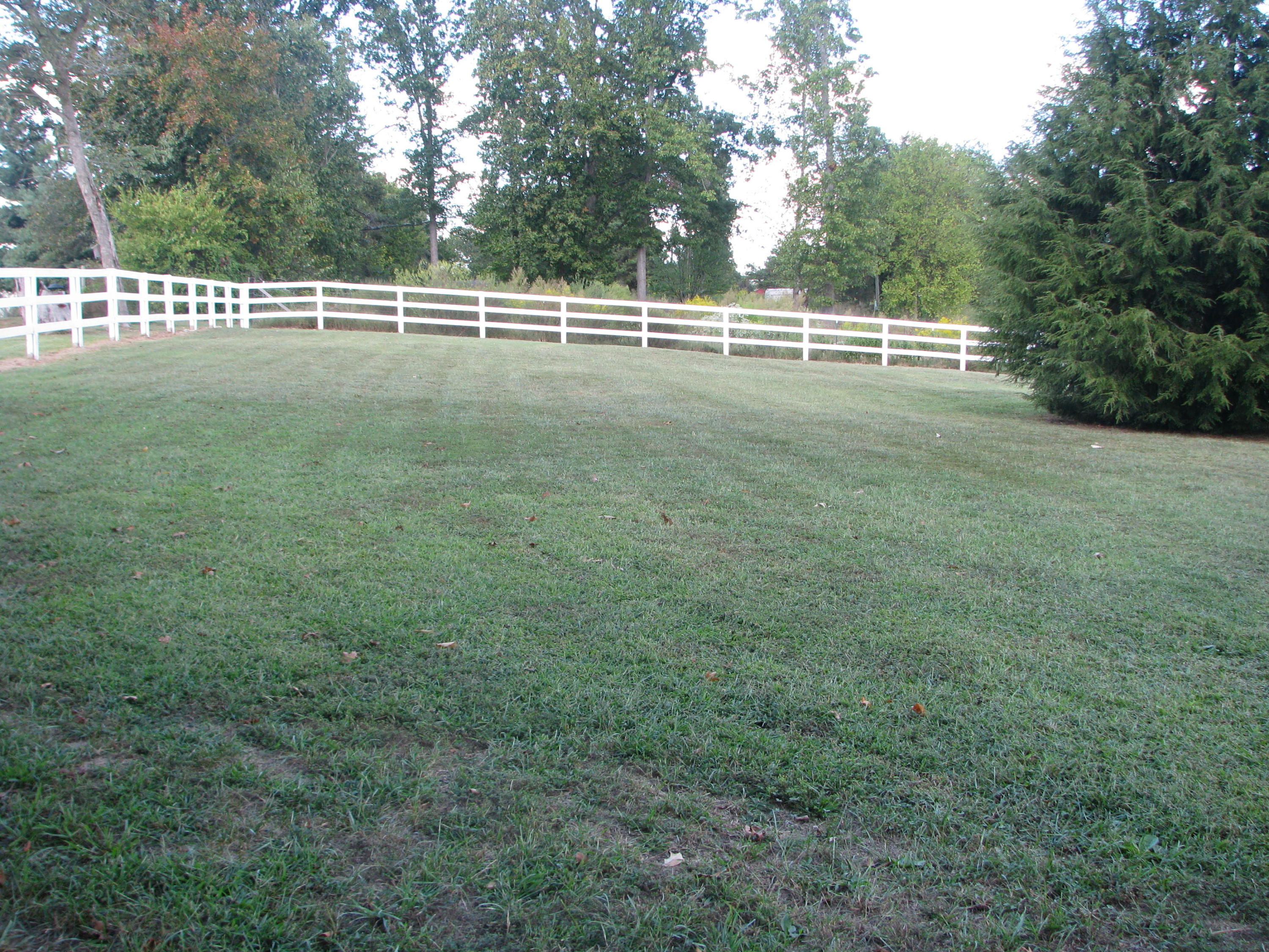 333 Ogle Road Seymour, TN 37865 - Photo 7 of 27 IMG_8861