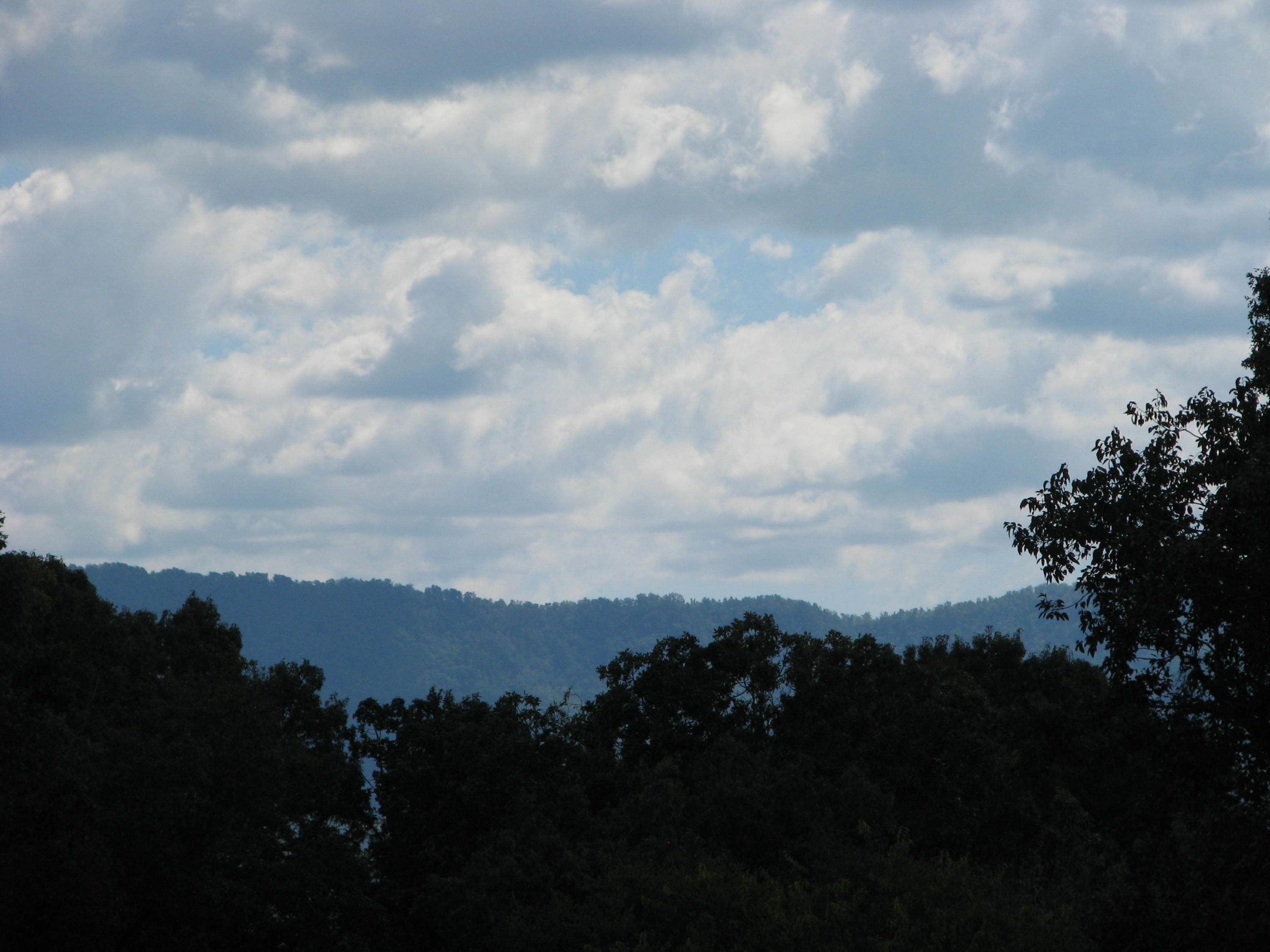 333 Ogle Road Seymour, TN 37865 - Photo 10 of 27 IMG_8841