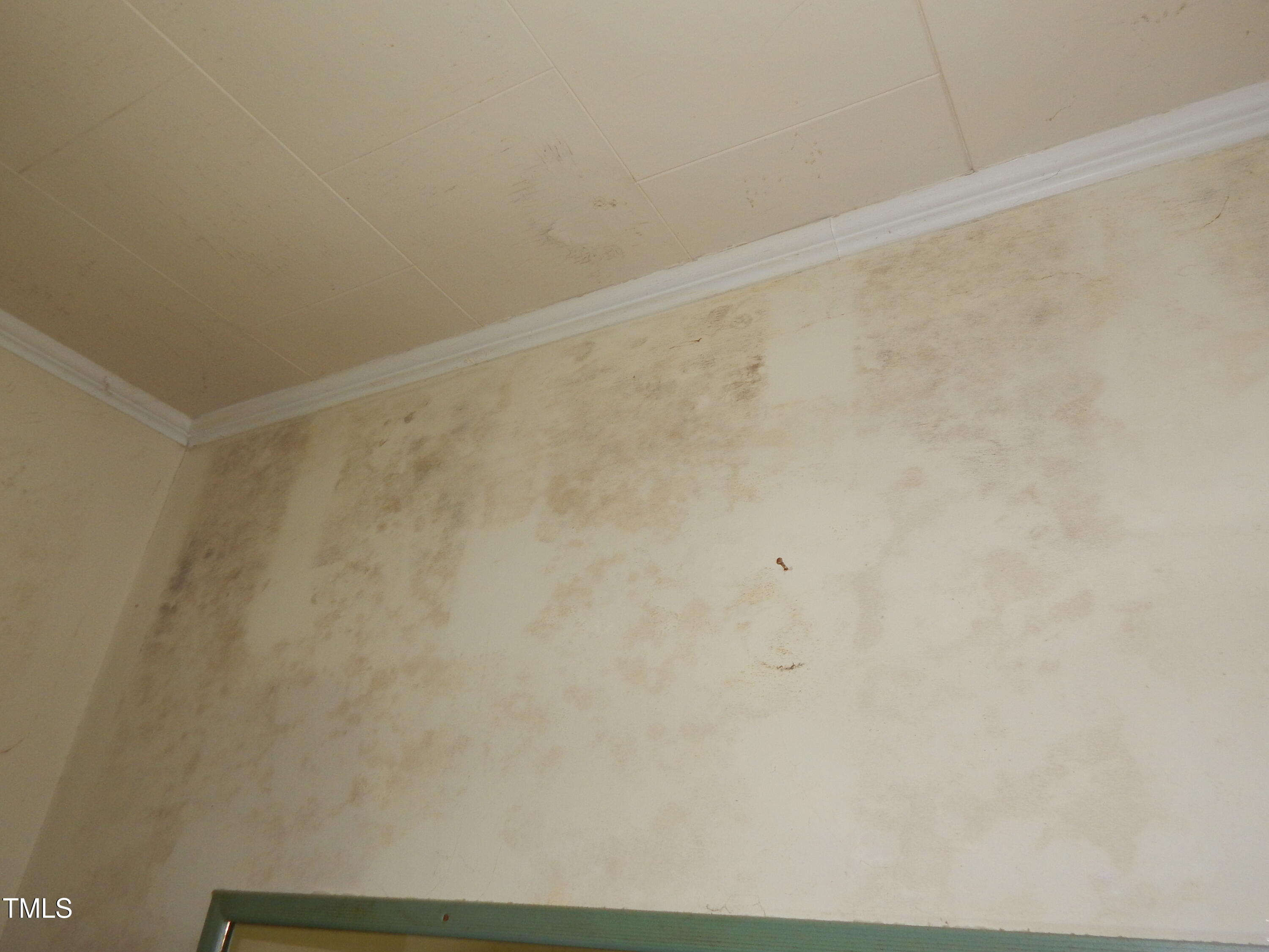 1108 Buckhorn Road Mebane, NC 27302 - Photo 14 of 31 LRM w Wall Mold