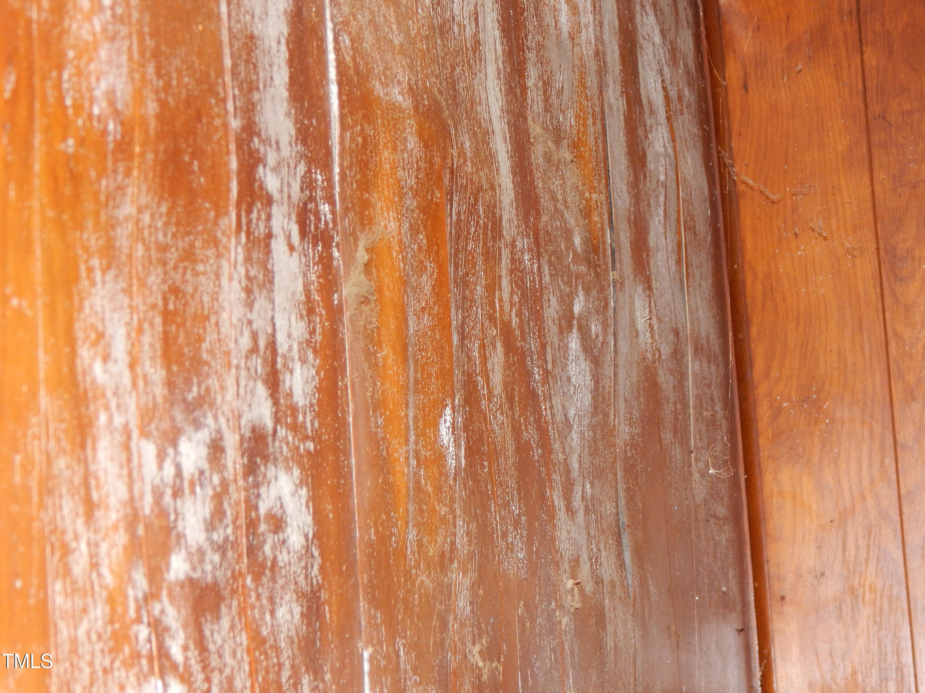 1108 Buckhorn Road Mebane, NC 27302 - Photo 29 of 31 wall mold #3