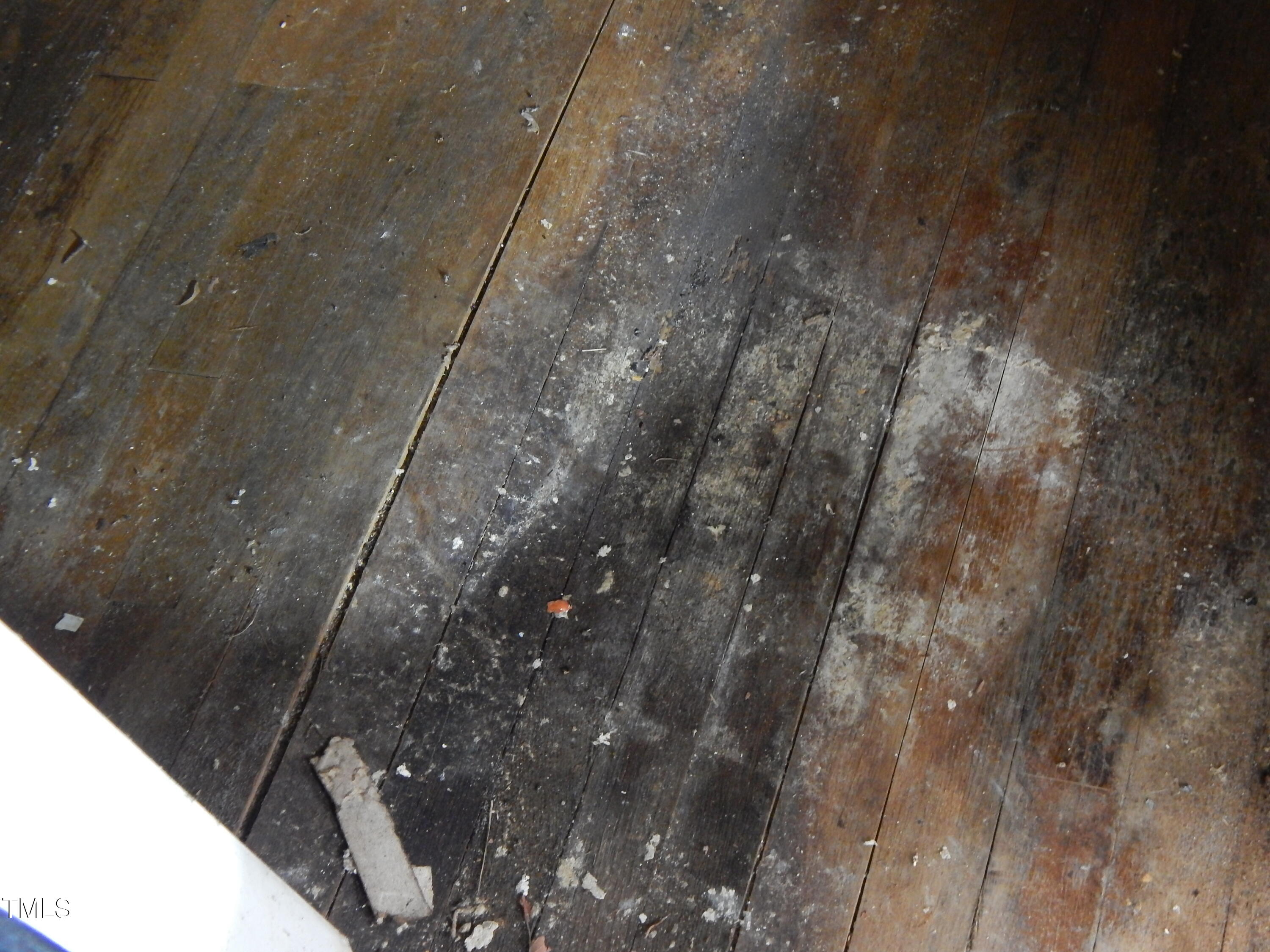 1108 Buckhorn Road Mebane, NC 27302 - Photo 6 of 31 Floor buckled