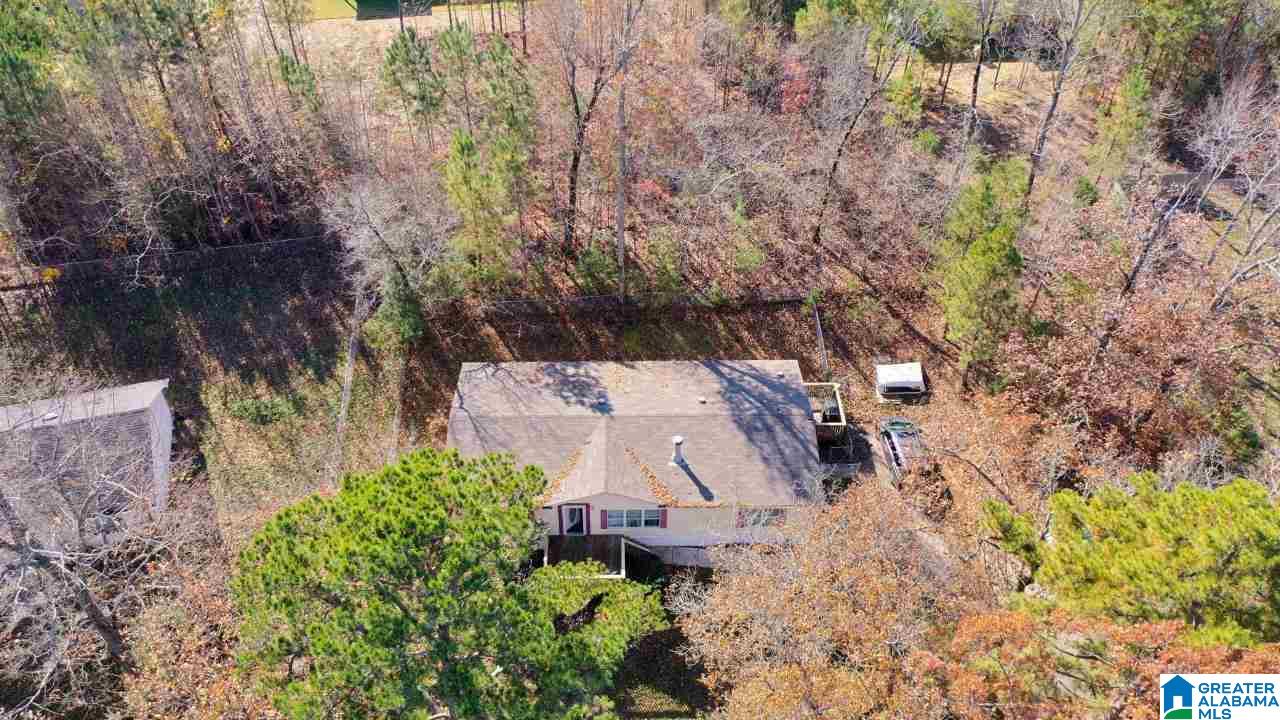 5258 Red Valley Road Remlap, AL 35133 - Photo 26 of 27