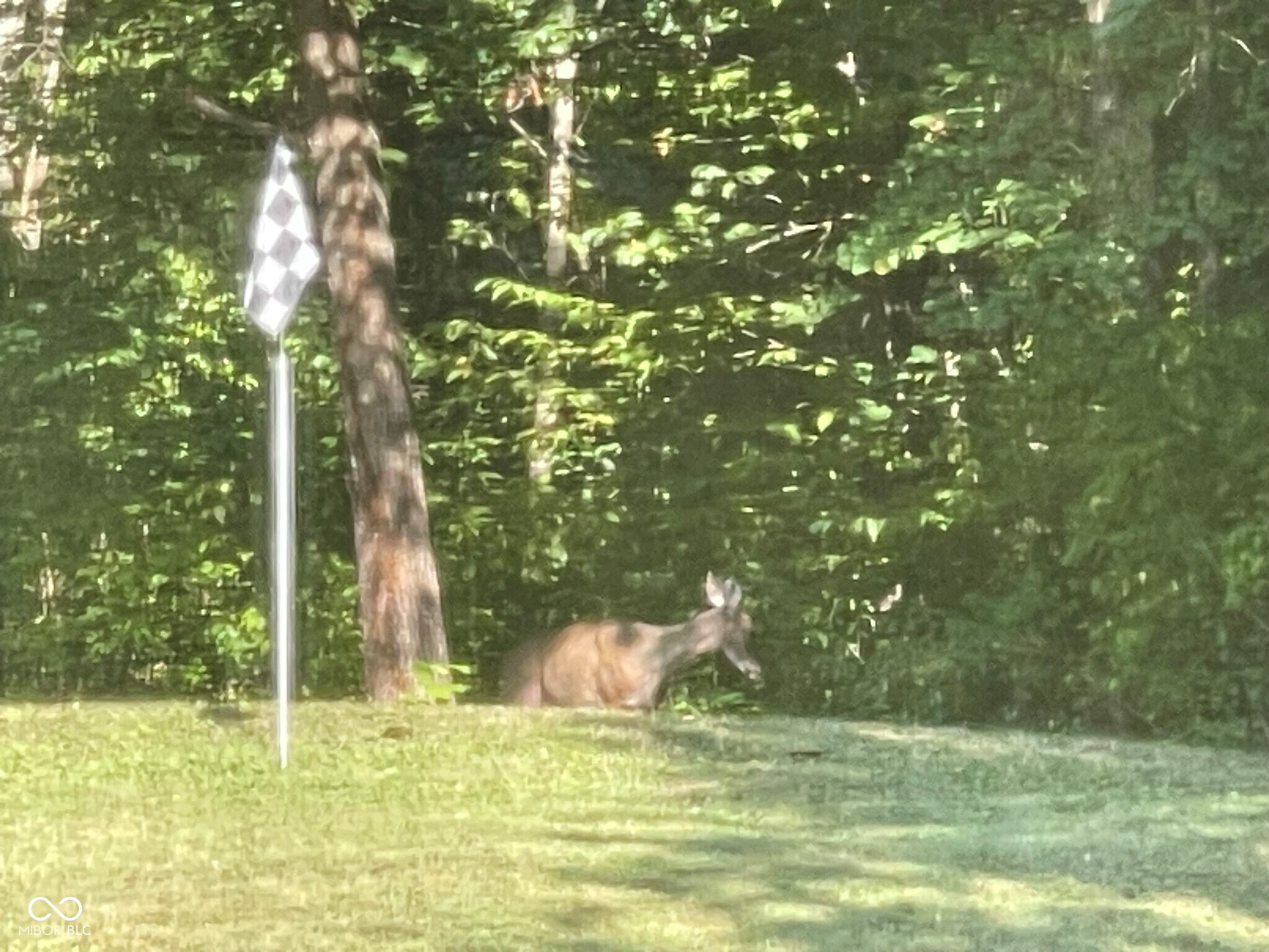 4866 East 500th Street South Franklin, IN 46131 - Photo 49 of 58