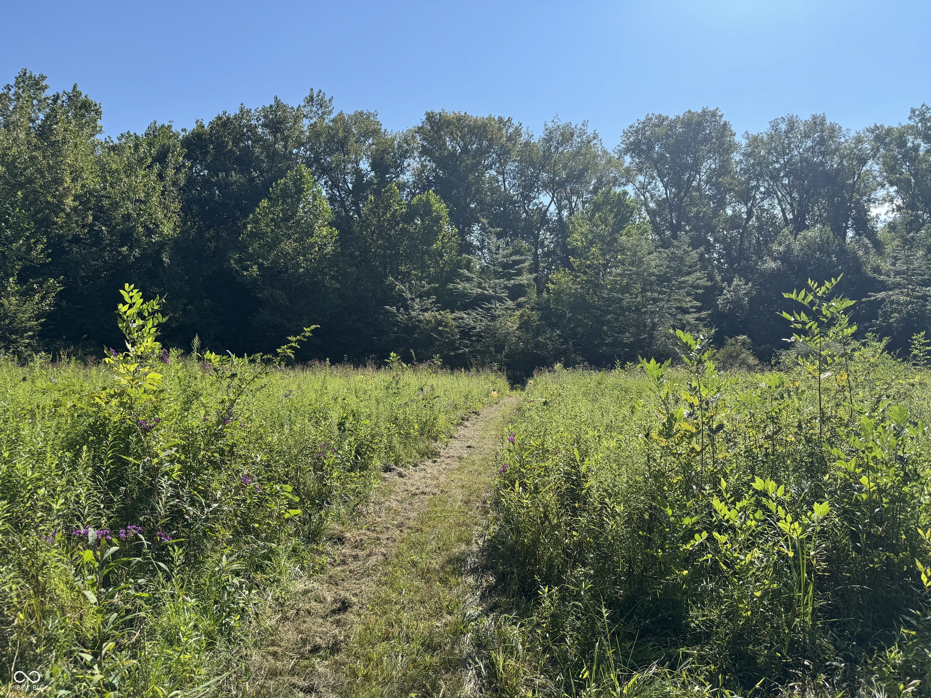 4866 East 500th Street South Franklin, IN 46131 - Photo 50 of 58
