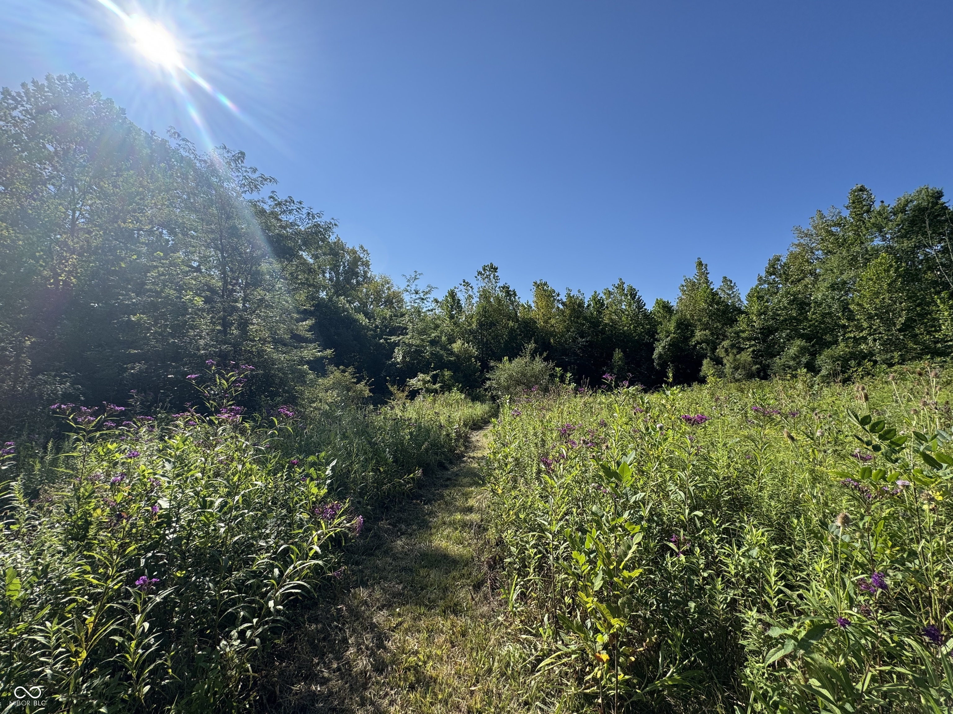 4866 East 500th Street South Franklin, IN 46131 - Photo 51 of 58