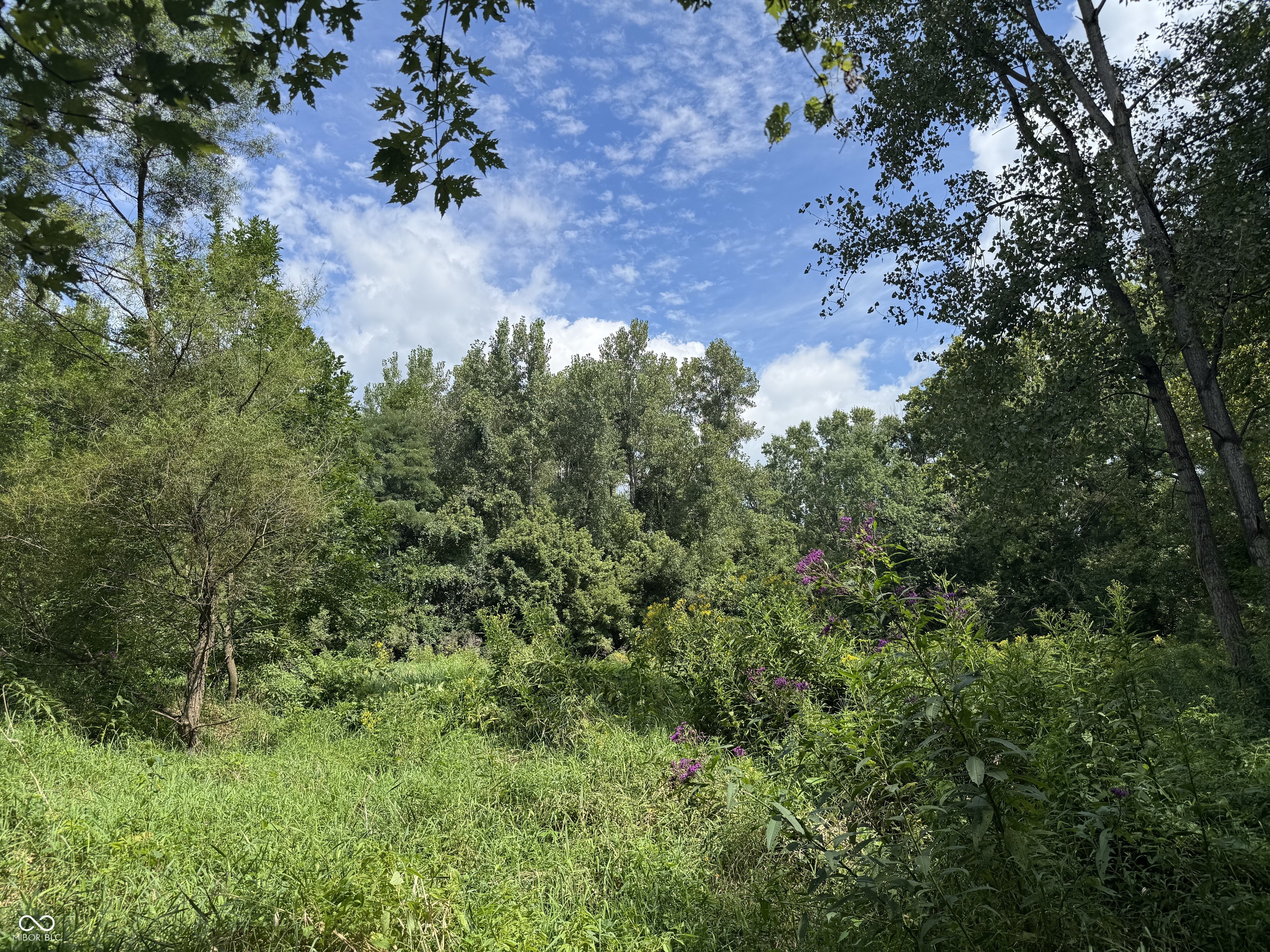 4866 East 500th Street South Franklin, IN 46131 - Photo 54 of 58