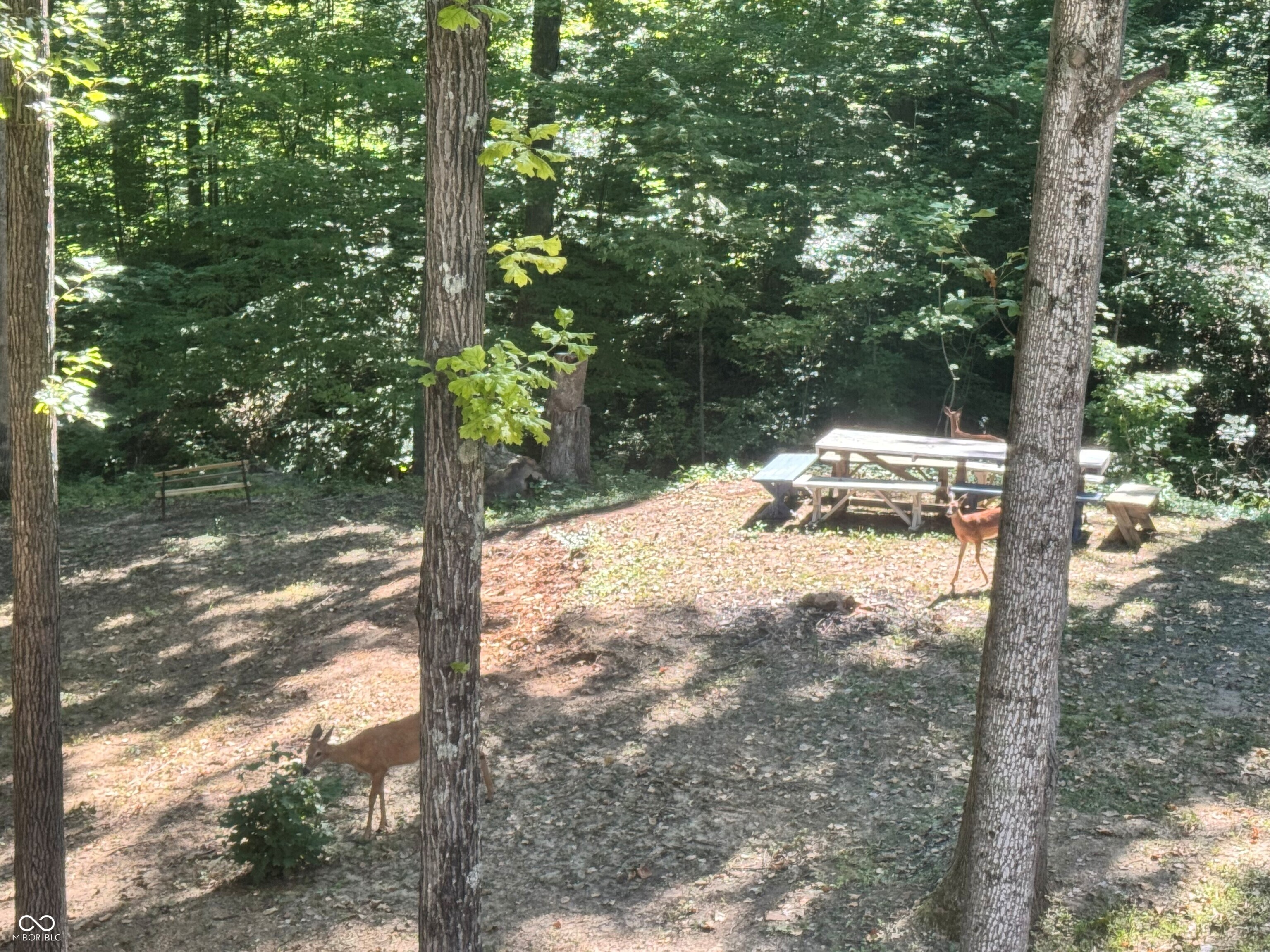 4866 East 500th Street South Franklin, IN 46131 - Photo 55 of 58