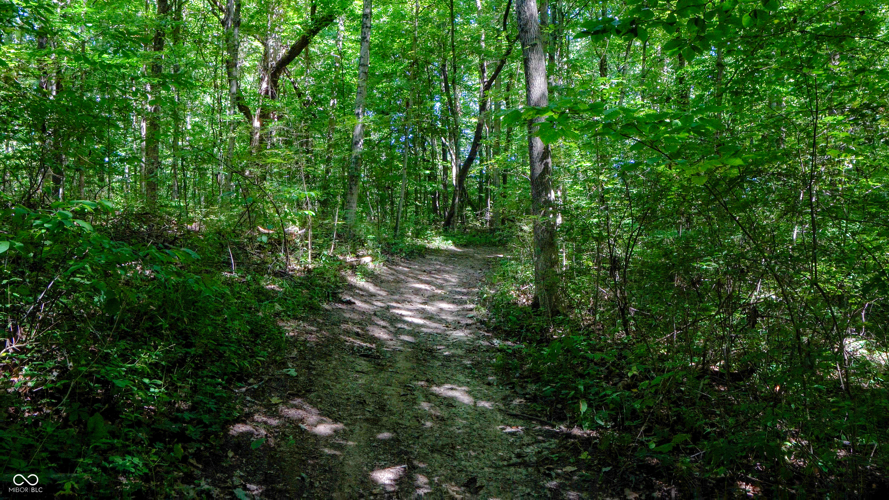 4866 East 500th Street South Franklin, IN 46131 - Photo 57 of 58