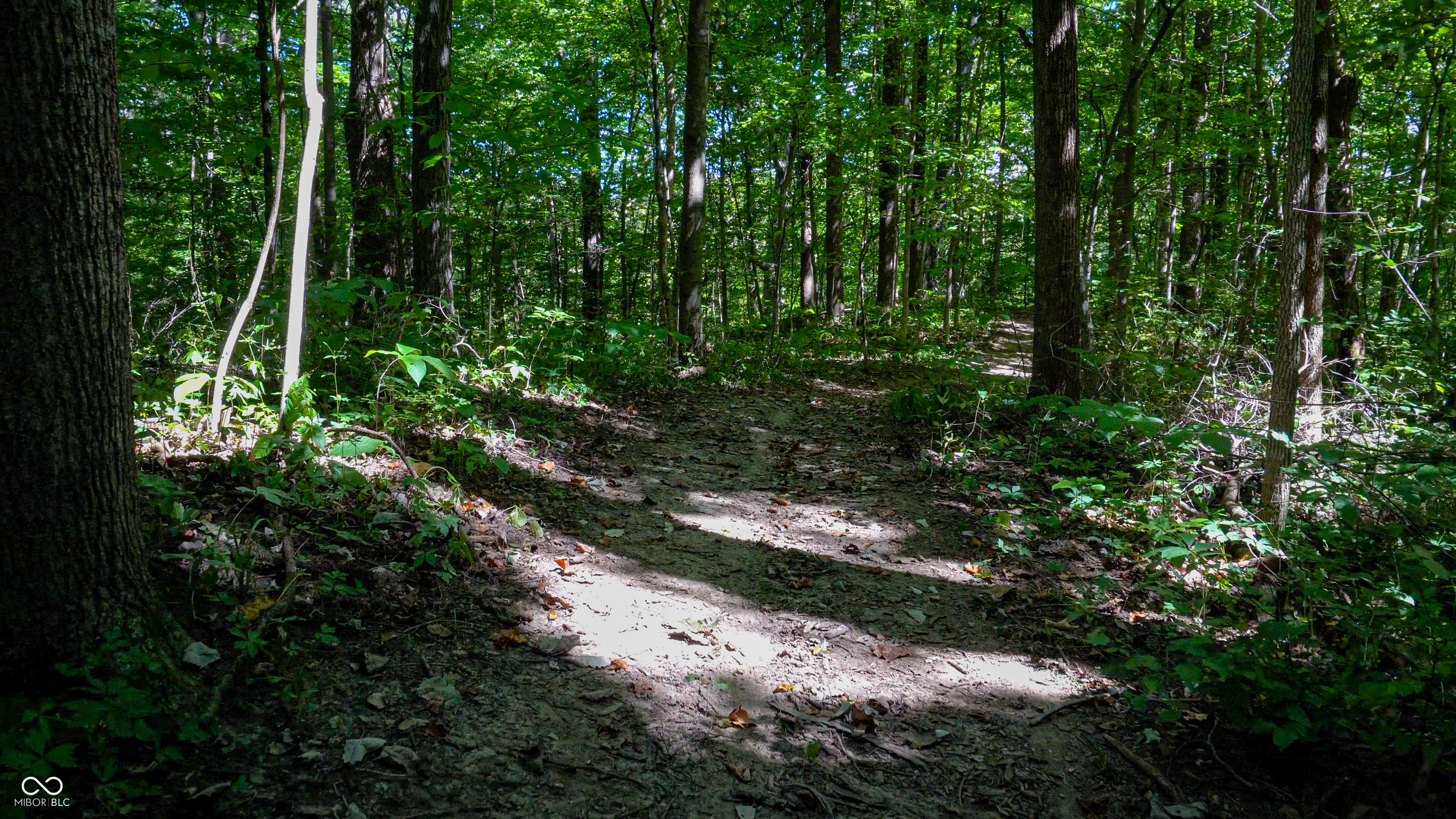 4866 East 500th Street South Franklin, IN 46131 - Photo 58 of 58