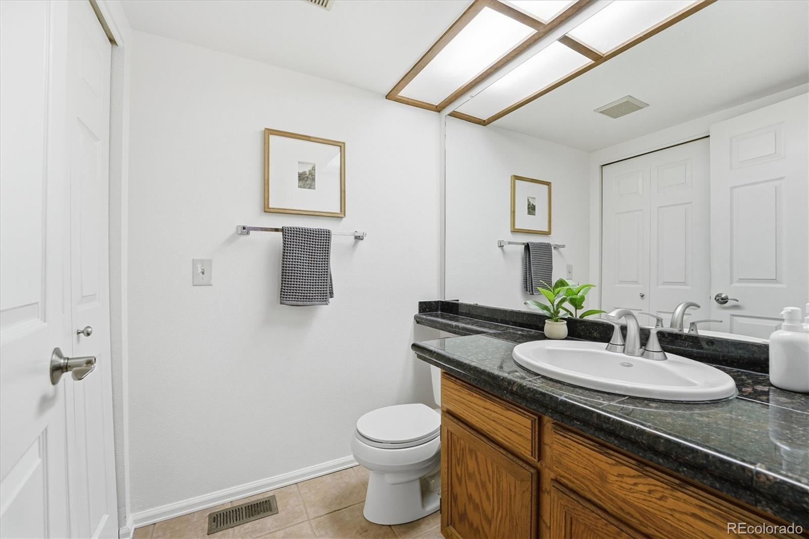 1304 Briar Circle Highlands Ranch, CO 80126 - Photo 19 of 50