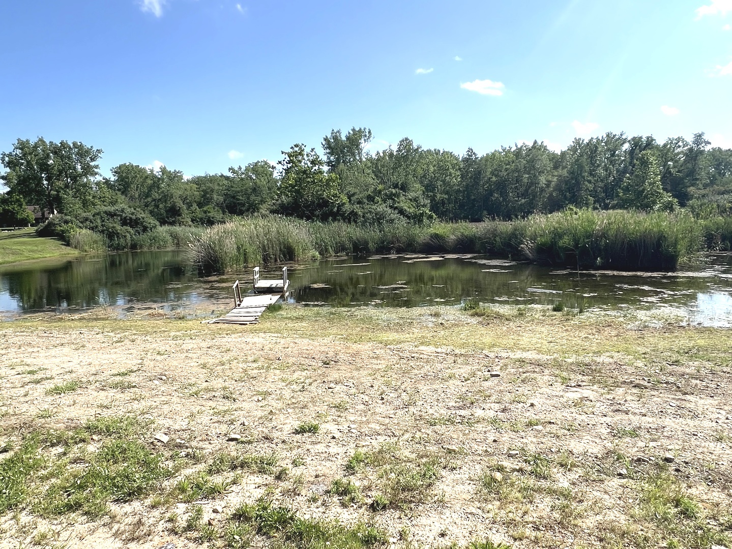 21 Wayman Canyon Road Oakwood, IL 61858 - Photo 29 of 58