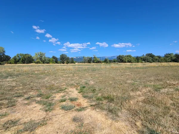a view of a yard