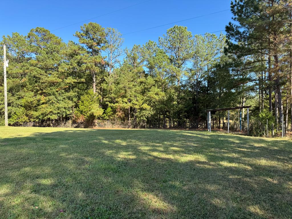 446 Moore Road Pine Mountain, GA 31822 - Photo 22 of 24 Gallery Image 22