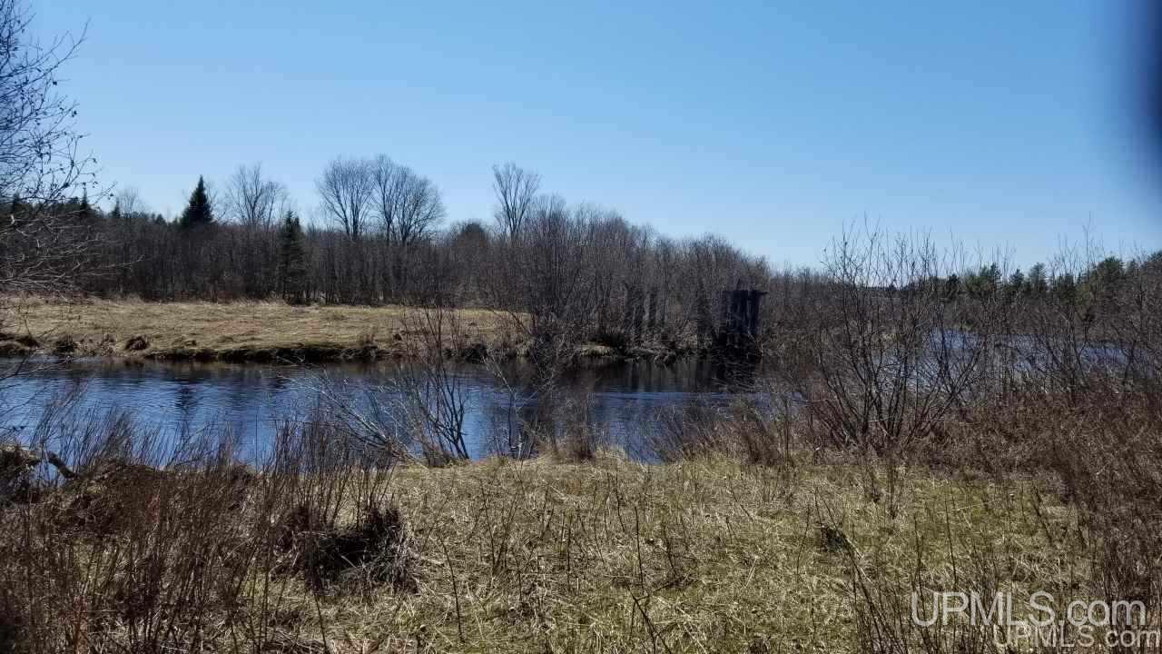 29-acr Pond Road Iron River, MI 49935 - Photo 18 of 29 Gallery Image 18