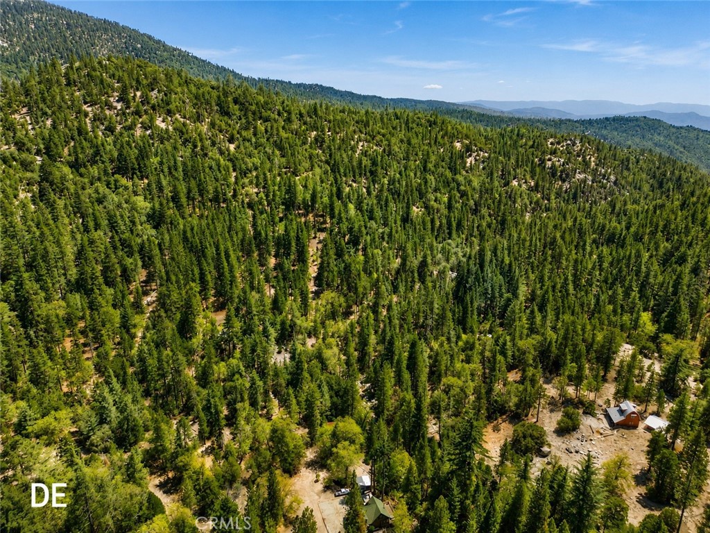 52915 Forest Rte 4S02 Idyllwild, CA 92549 - Photo 9 of 30