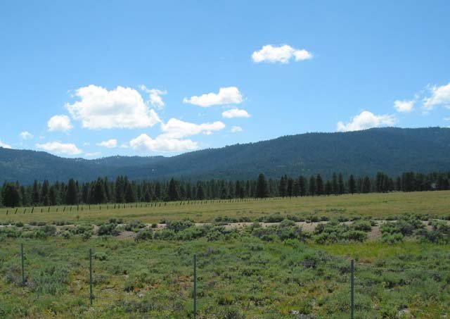 A-23 Westside Road Beckwourth, CA 96129 - Photo 5 of 7 Gallery Image 5