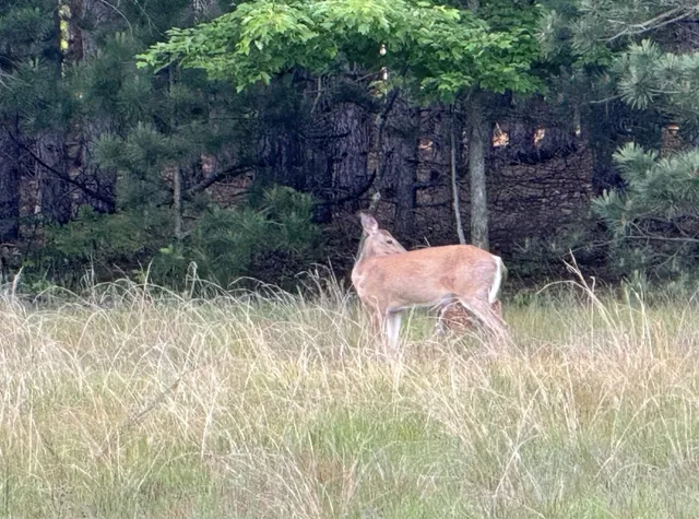 $369,000 | 3893 East Yonker Road, Hesperia, MI 49421