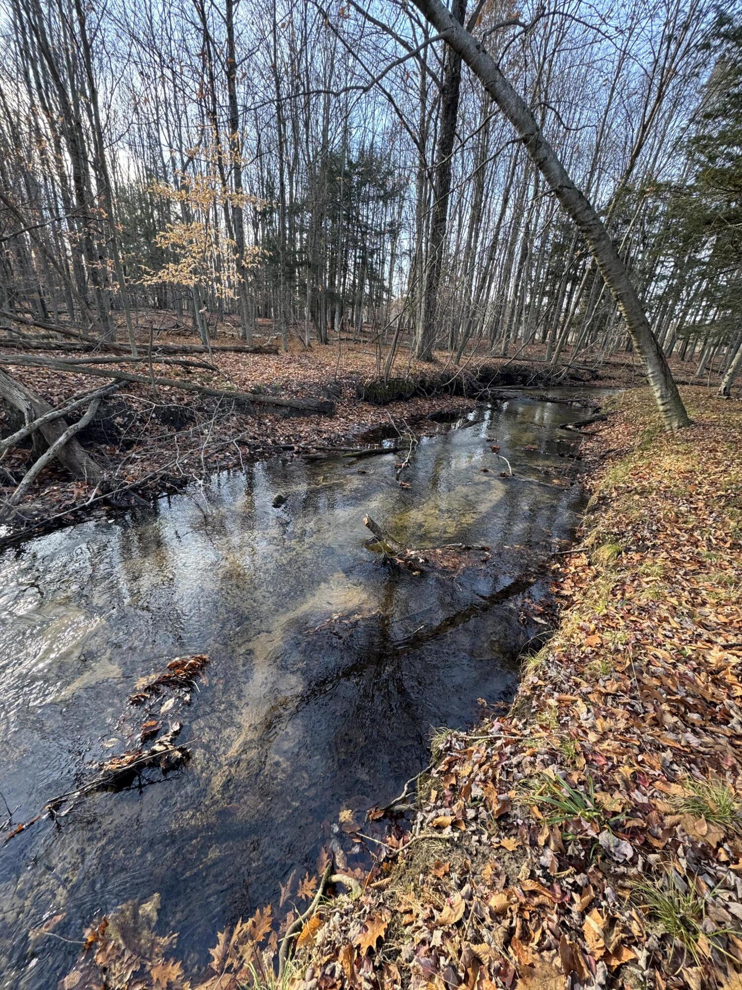 3893 East Yonker Road Hesperia, MI 49421 - Photo 24 of 26 IMG_3628