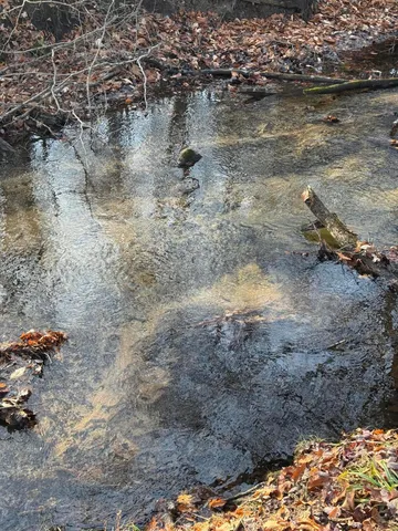 $369,000 | 3893 East Yonker Road, Hesperia, MI 49421