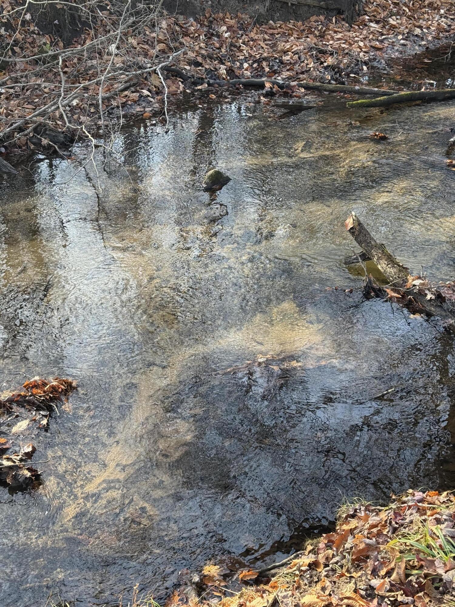 3893 East Yonker Road Hesperia, MI 49421 - Photo 25 of 26 IMG_3627