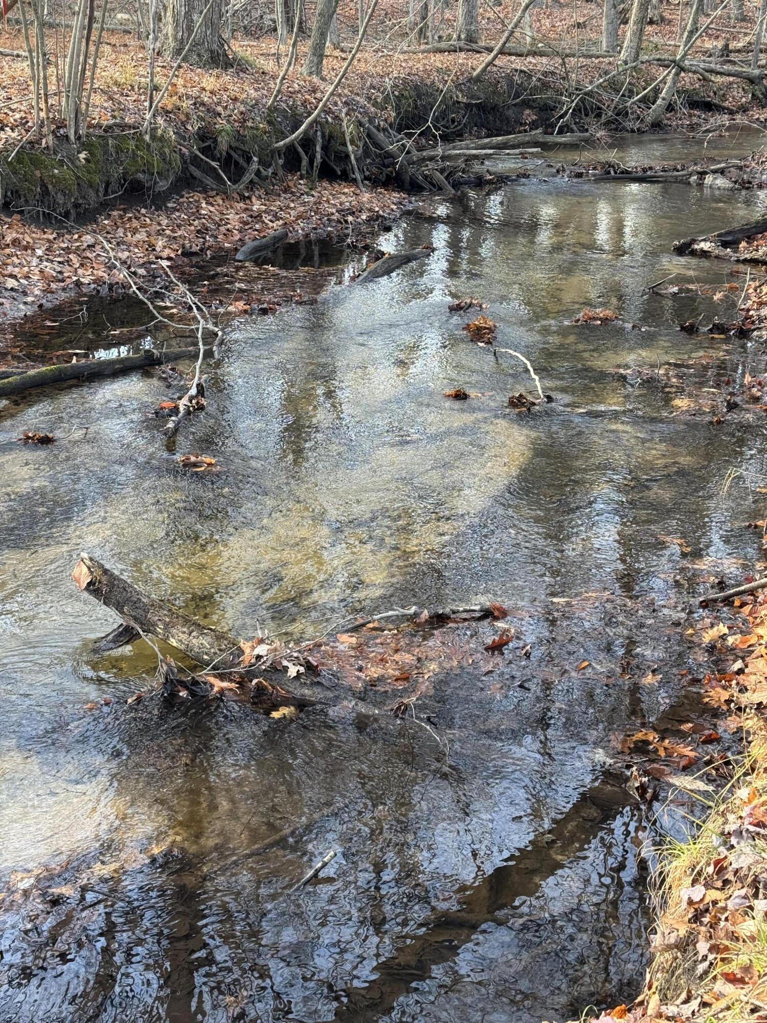 3893 East Yonker Road Hesperia, MI 49421 - Photo 26 of 26 IMG_3632