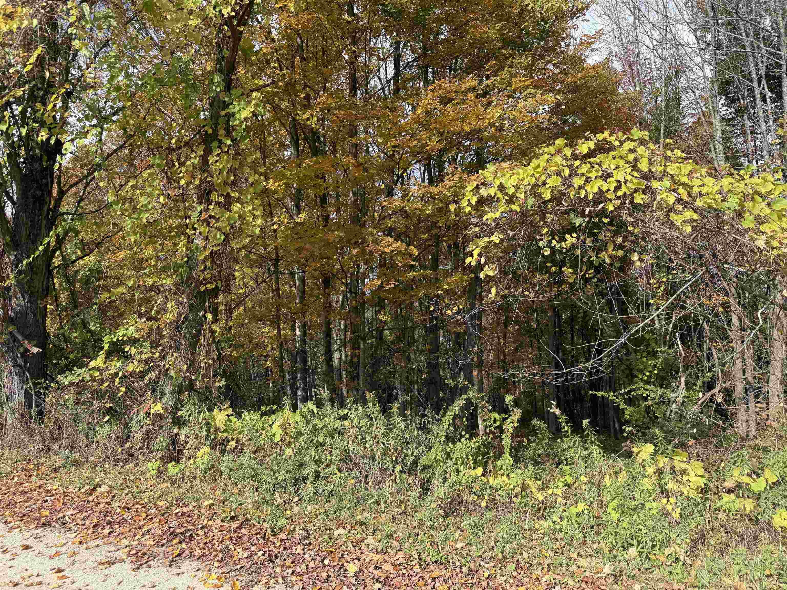 0 Sunset Hill Road Pownal, VT 05261 - Photo 12 of 17 Gallery Image 12