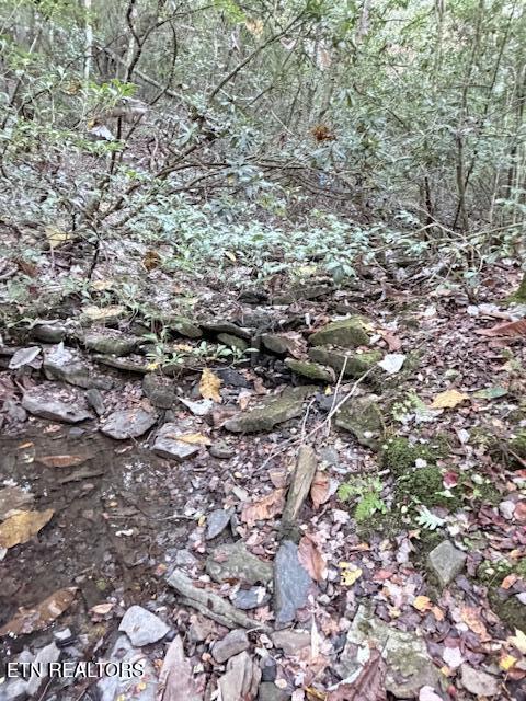 92-acres Dogwood Road Grandview, TN 37337 - Photo 11 of 14 IMG_7074