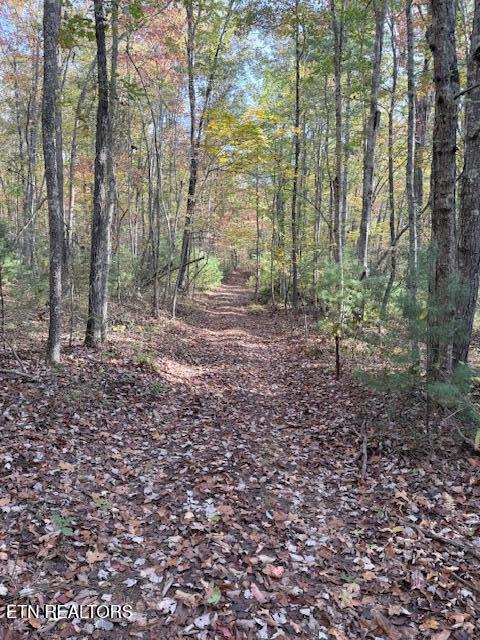 92-acres Dogwood Road Grandview, TN 37337 - Photo 12 of 14 IMG_7080