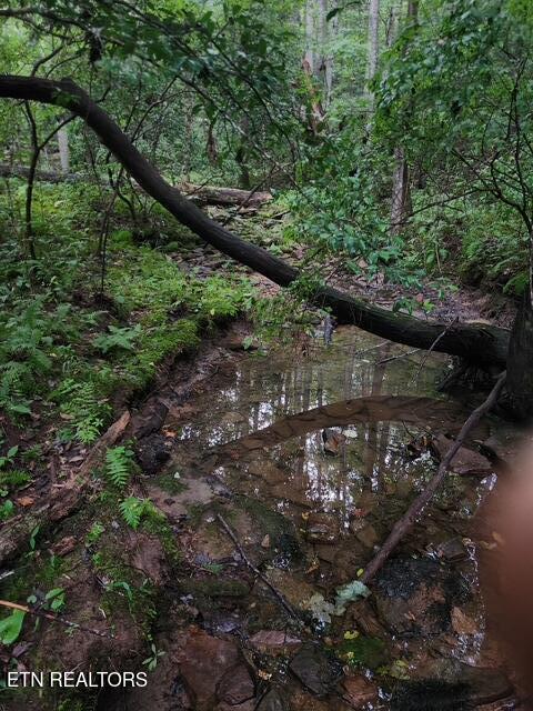 92-acres Dogwood Road Grandview, TN 37337 - Photo 14 of 14 IMG_9580