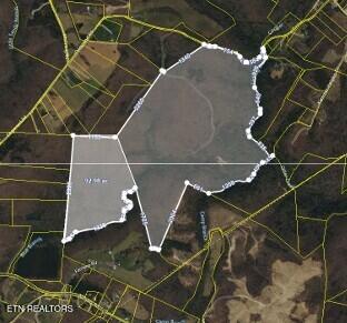 92-acres Dogwood Road Grandview, TN 37337 - Photo 2 of 14 Dogwood