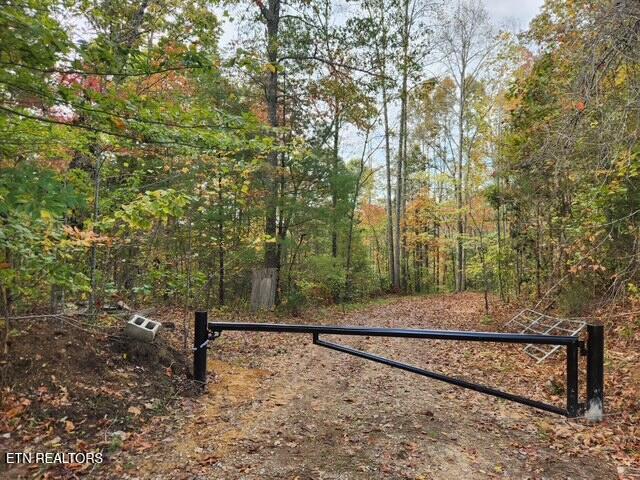 92-acres Dogwood Road Grandview, TN 37337 - Photo 3 of 14 IMG_4246