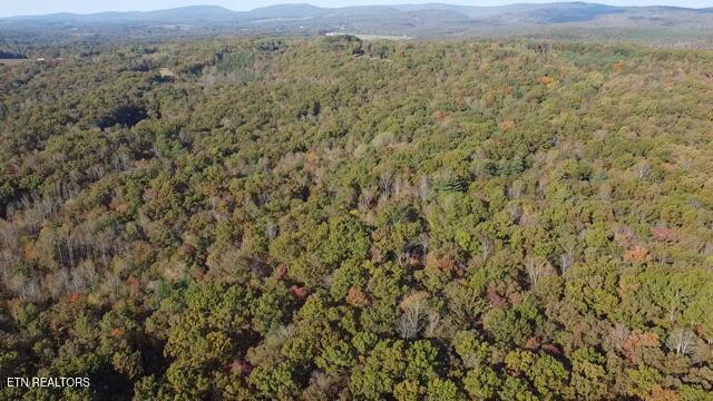 92-acres Dogwood Road Grandview, TN 37337 - Photo 4 of 14 2025-10-21-09-08-03-365