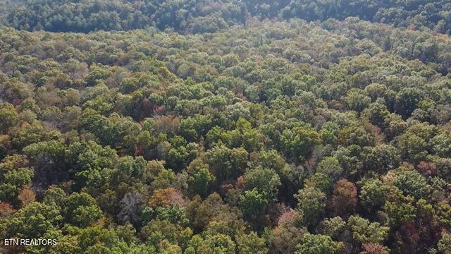 92-acres Dogwood Road Grandview, TN 37337 - Photo 5 of 14 2025-10-21-09-06-30-293