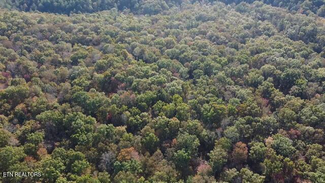 92-acres Dogwood Road Grandview, TN 37337 - Photo 6 of 14 2025-10-21-09-06-46-276