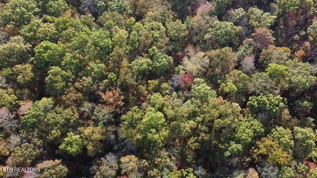 92-acres Dogwood Road Grandview, TN 37337 - Photo 7 of 14 2025-10-21-09-06-21-093