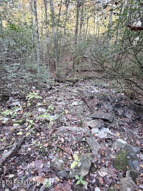 92-acres Dogwood Road Grandview, TN 37337 - Photo 10 of 14 IMG_7073