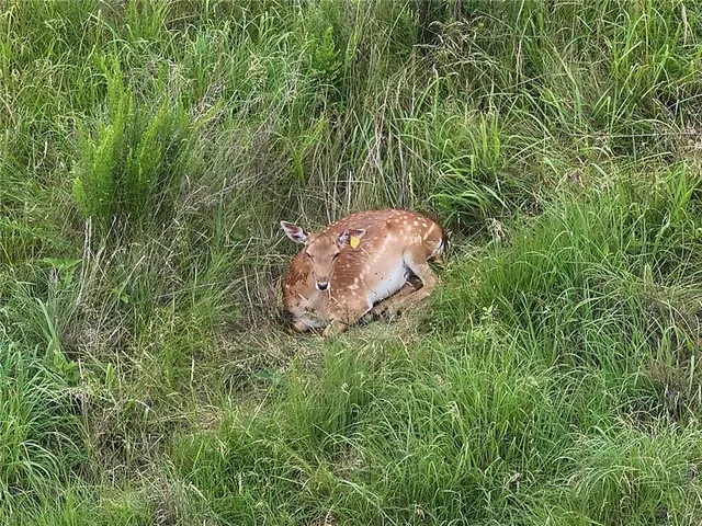 $2,139,000 | 882 260th Street, Fort Scott, KS 66701