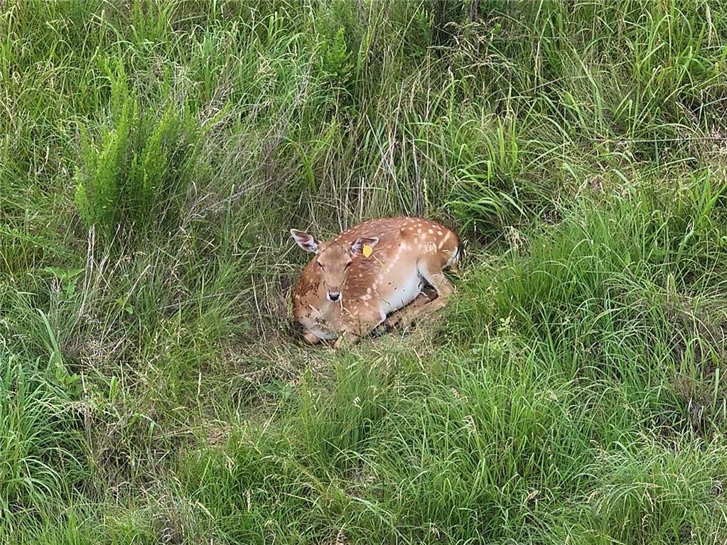 882 260th Street Fort Scott, KS 66701 - Photo 28 of 88