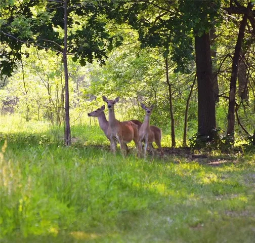 $2,139,000 | 882 260th Street, Fort Scott, KS 66701