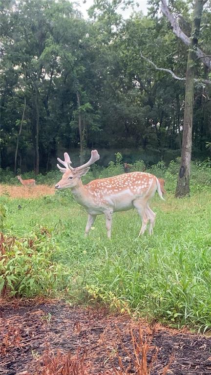 882 260th Street Fort Scott, KS 66701 - Photo 47 of 88