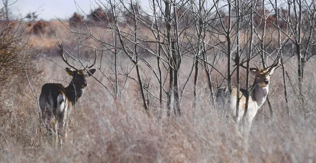 $2,139,000 | 882 260th Street, Fort Scott, KS 66701