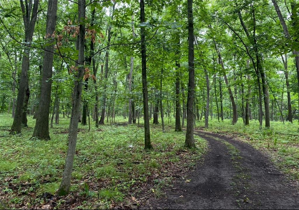 882 260th Street Fort Scott, KS 66701 - Photo 56 of 88