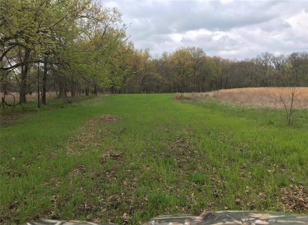 882 260th Street Fort Scott, KS 66701 - Photo 57 of 88