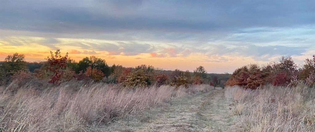 882 260th Street Fort Scott, KS 66701 - Photo 61 of 88