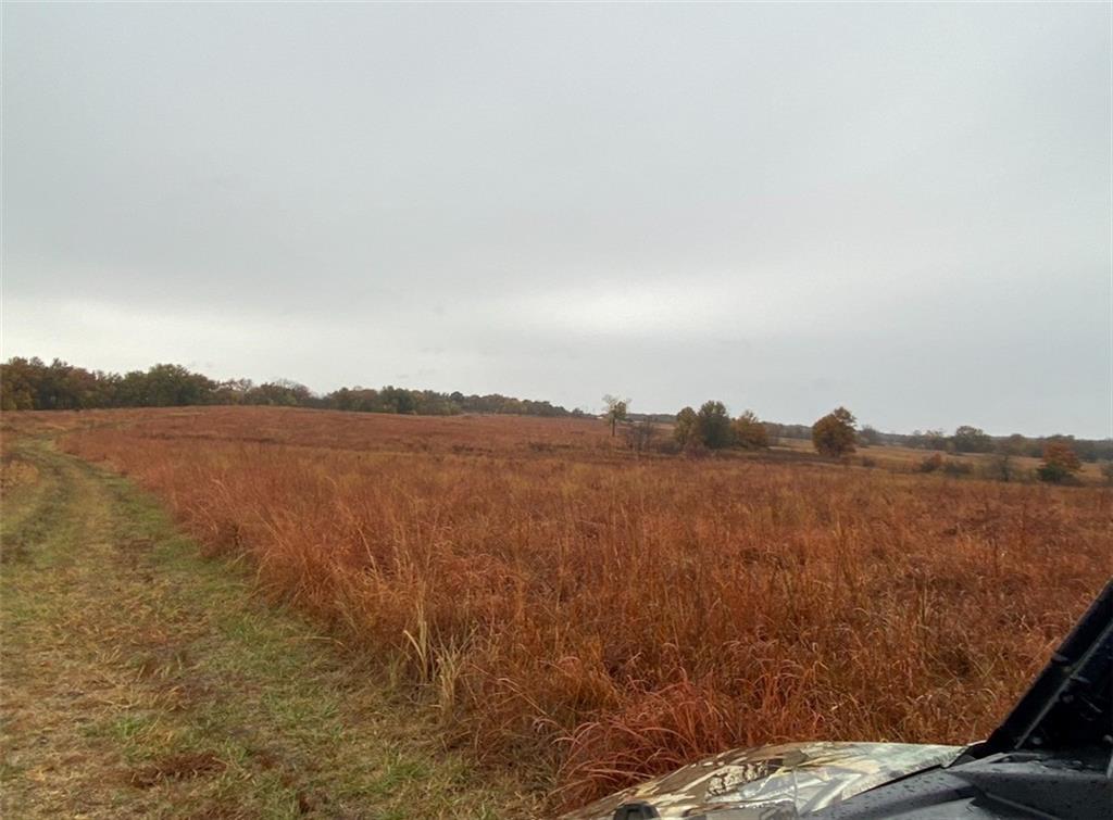 882 260th Street Fort Scott, KS 66701 - Photo 62 of 88