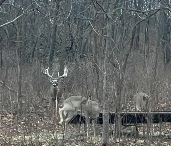 $2,139,000 | 882 260th Street, Fort Scott, KS 66701