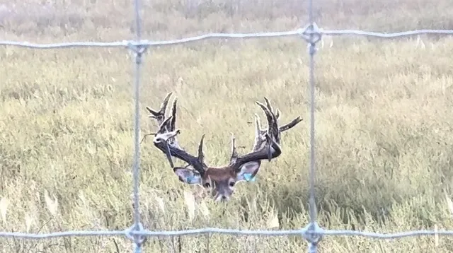 $2,139,000 | 882 260th Street, Fort Scott, KS 66701