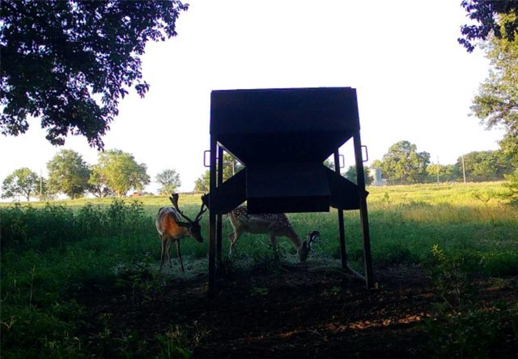 882 260th Street Fort Scott, KS 66701 - Photo 65 of 88