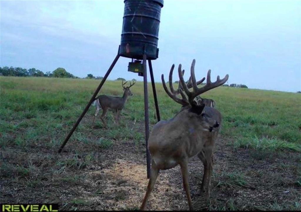 882 260th Street Fort Scott, KS 66701 - Photo 66 of 95